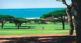 Ocean Golf Course in Almancil - Algarve