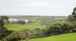 parque de floresta Golf Course in Sagres - Algarve