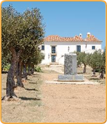 Welcome to PropertyGolfPortugal.com - alcantarilha - Algarve - Portugal Golf Courses Information 