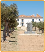 Welcome to PropertyGolfPortugal.com - Alcantarilha - Algarve - Portugal Golf Courses Information