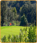 Welcome to PropertyGolfPortugal.com - amarante -  - Portugal Golf Courses Information - amarante