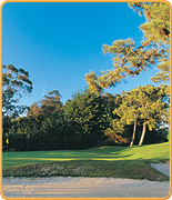 Welcome to PropertyGolfPortugal.com - Estoril Golfe Club -  - Portugal Golf Courses Information - Estoril Golfe Club