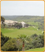 Welcome to PropertyGolfPortugal.com - parque de floresta -  - Portugal Golf Courses Information - parque de floresta