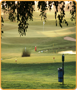 Welcome to PropertyGolfPortugal.com - quinta de cima -  - Portugal Golf Courses Information - quinta de cima