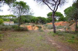 Land for sale in Quinta do Lago, Almancil, Vale do Lobo, Vilamoura, Quarteira - EMA12153