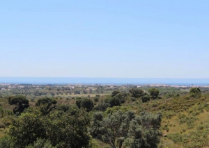 Land for sale in Tavira - EMA12760